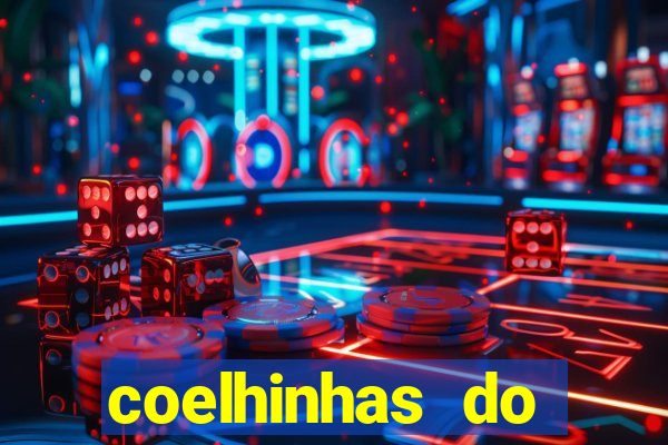 coelhinhas do brasil acompanhantes